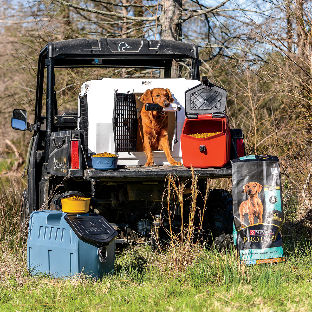 Dog products. Photo by John Hoffman, DU